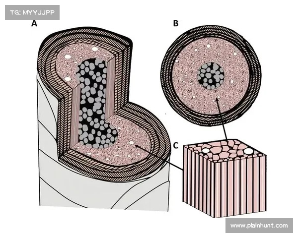 冰虫鳞片的微观结构特性及其在生物仿生和材料科学中的潜在应用 冰虫鳞片的微观结构特性及其在生物仿生和材料科学中的潜在应用