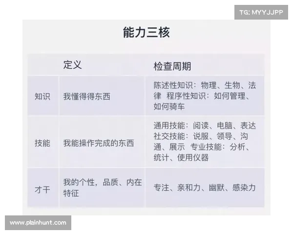 掌握十个高效技巧全面提升你的网络探索能力与信息获取效率 掌握十个高效技巧全面提升你的网络探索能力与信息获取效率