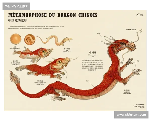 揭开古代文明遗迹中的神秘生物与超自然力量的秘密