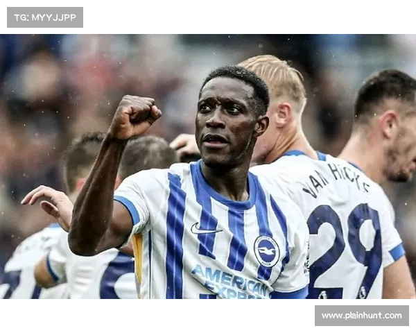 为什么人们称韦尔贝克为黑贝探讨这一绰号背后的深层含义